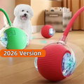 2026 PLE New Dog Interactive Ball Toy, Automatic Rolling Dog Ball Rechargeable, Fast Ball pets