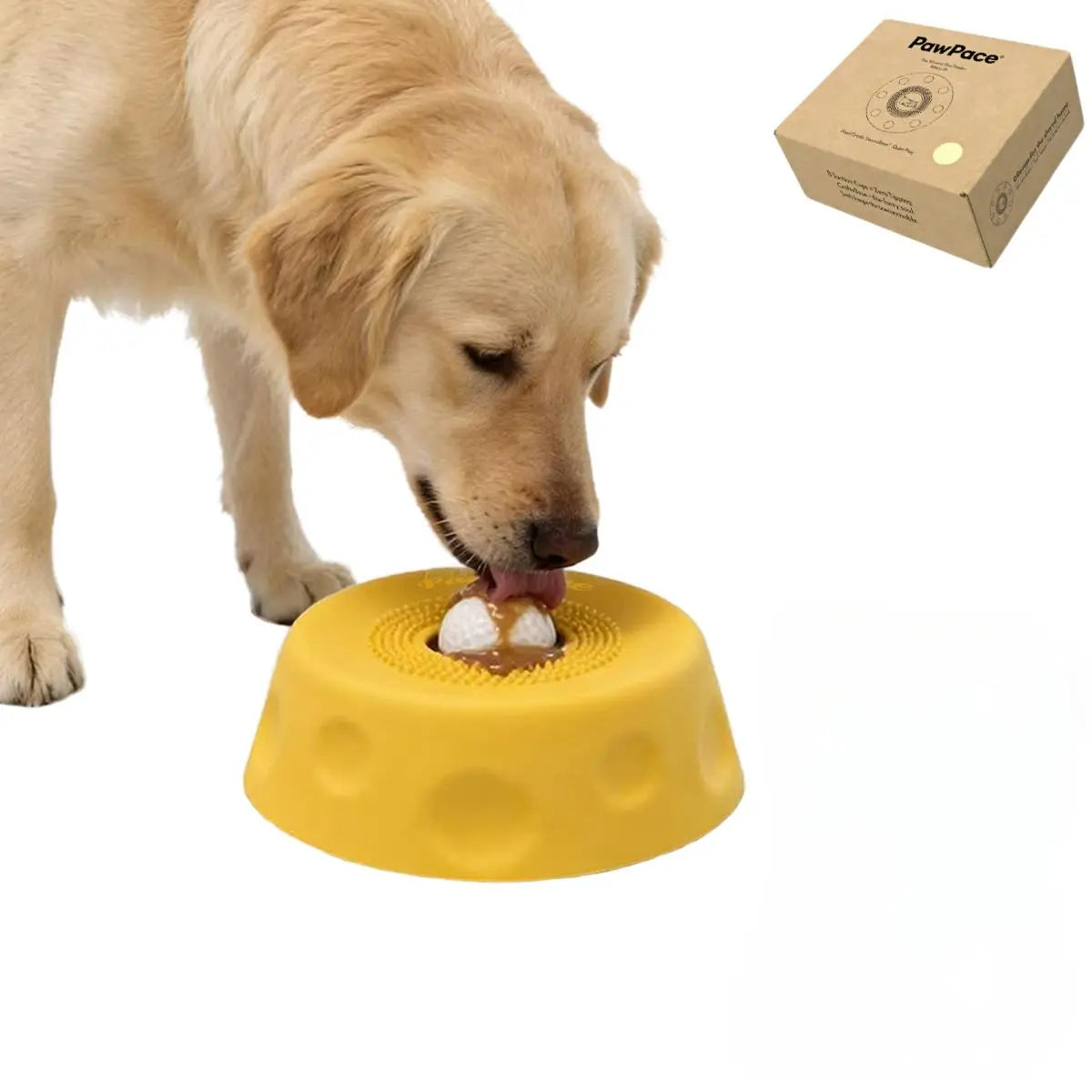 FREE GIFT | 2-in-1 Slow Feeder Lick Bowl for Dogs