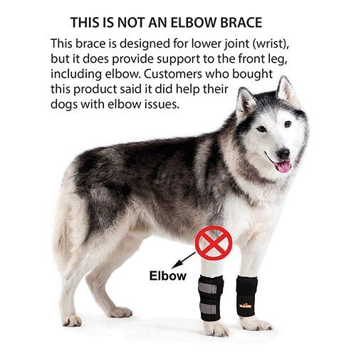 NeoAlly Dog Front Leg Braces: Enhance Safety with Reflective Straps (Pair)